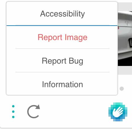 Accessibility option in widget UI menu